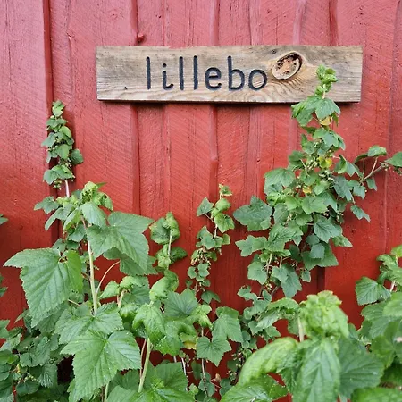 Lillebo Fred Og Ro Græsted