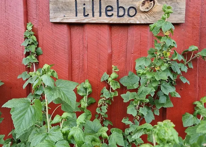 Lillebo Fred Og Ro Graested
